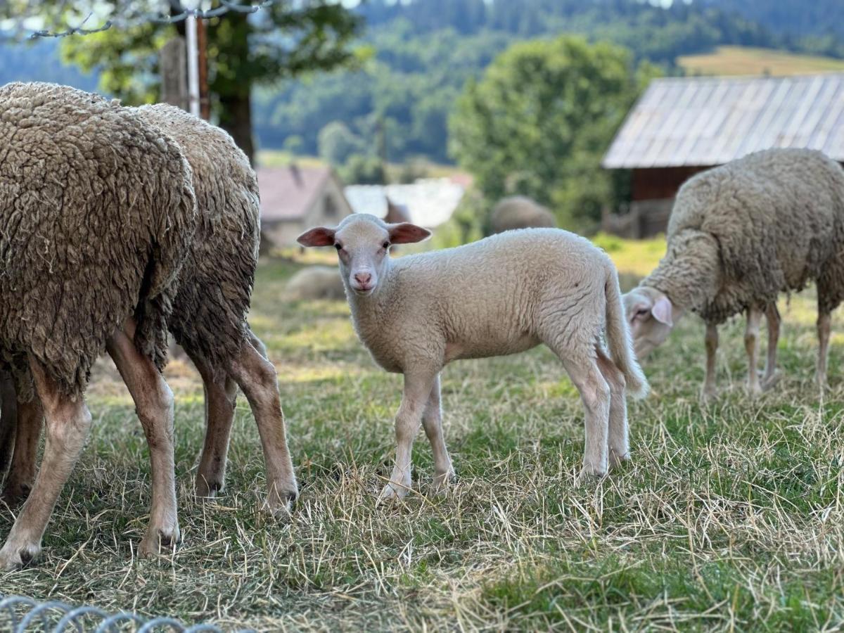 Penzion Hrubjak Oravská Polhora Exteriér fotografie